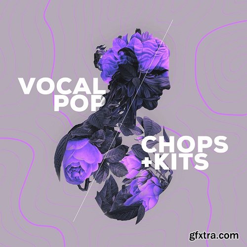 Audiomodern VOCAL POP Chops and Kits Loopmix Expansion