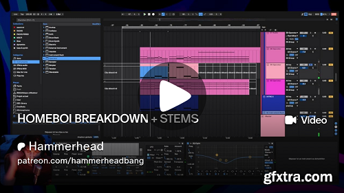 Hammerhead Homeboi Breakdown + STEMS