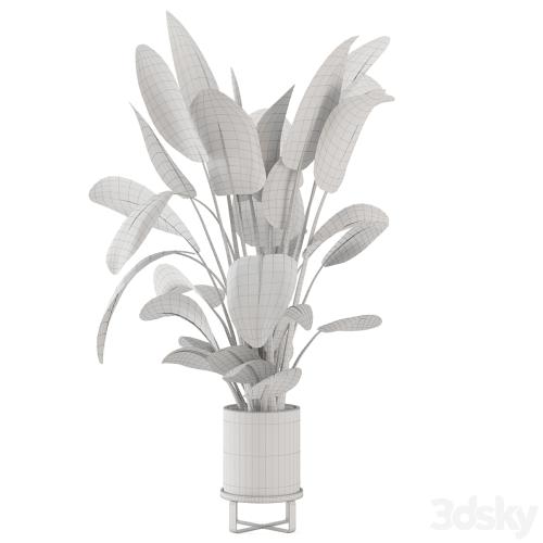 Indoor Plants in Ferm Living Bau Pot Large - Set 765