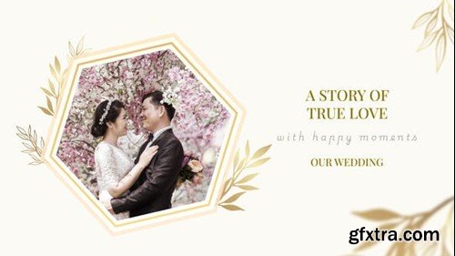 Videohive Our Wedding 53204050