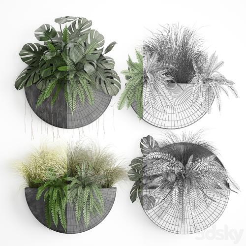 Vertical landscaping for the wall with a black metal shelf with flowers, garden, fern, monstera, grass. Set 57