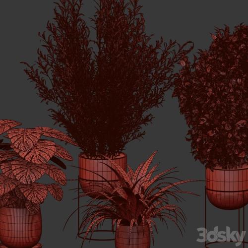 Houseplants collection (V-Ray)