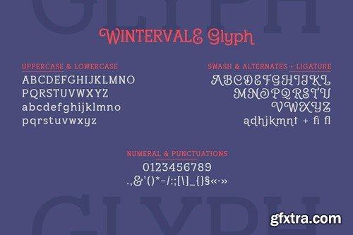 Wintervale – Stylistic Slab Serif JW8NZLU