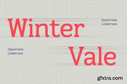 Wintervale – Stylistic Slab Serif JW8NZLU