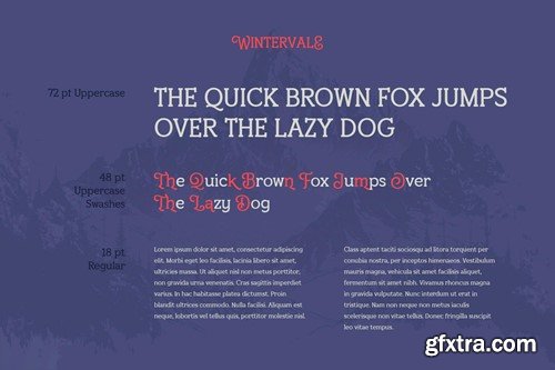 Wintervale – Stylistic Slab Serif JW8NZLU