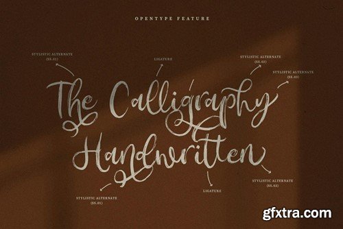 Amonyca Calligraphy Brush Font ZRTZ6ZD