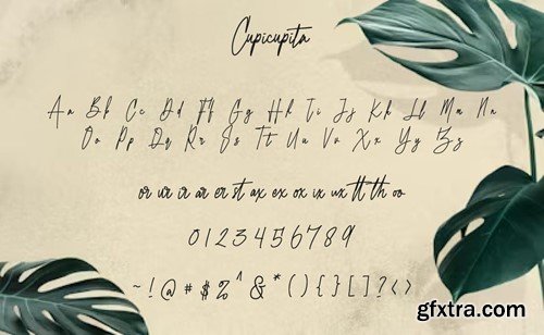 Cupicupita - Signature font TSACUW6