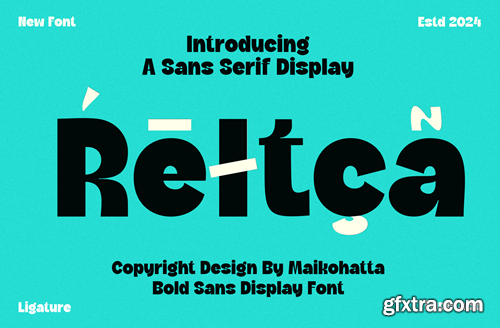 Reltca - Sans Serif Display Font 3FZGXN8