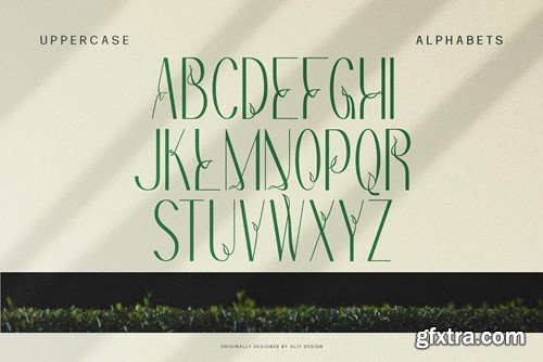 Redivola Typeface MHPKSJU