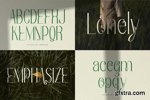 Redivola Typeface MHPKSJU