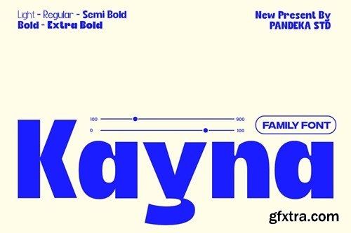 Kayna - Modern Luxury Elegant Font JG2VXBH