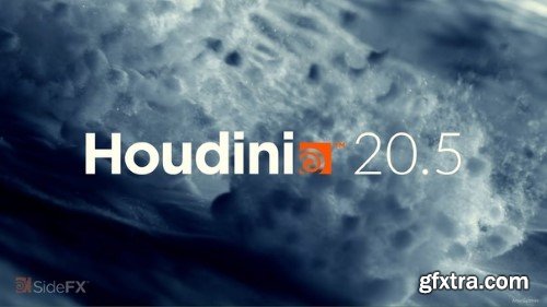 Houdini 20.5.278 Win64 vc143