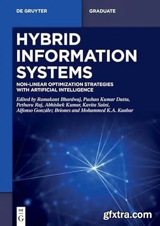 Hybrid Information Systems: Non-Linear Optimization strategie with Artificial Intelligence (De Gruyter Textbook)