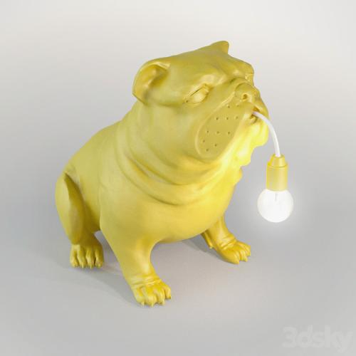 Light dog