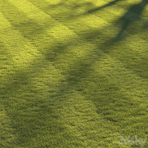 Football pitch lawn