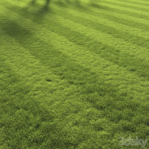 Football pitch lawn