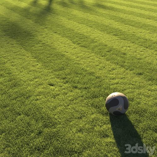 Football pitch lawn