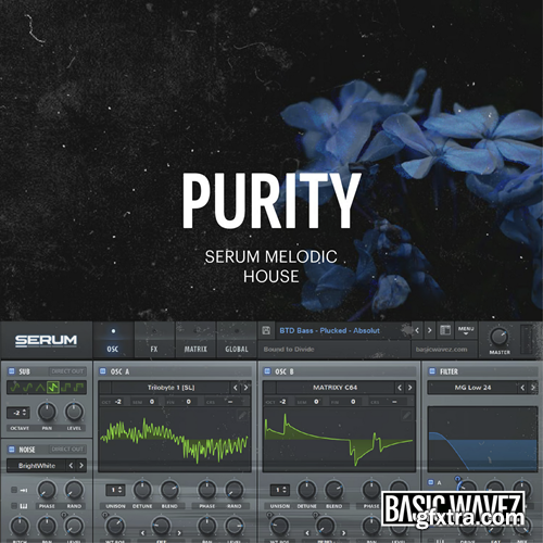 Baisc Wavez Embers Purity - Melodic House Presets for Serum