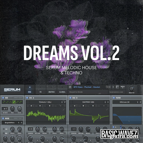 Baisc Wavez Dreams Vol 2 - Melodic House & Techno Presets for Serum