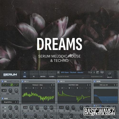 Baisc Wavez Dreams - Melodic House & Techno Presets for Serum
