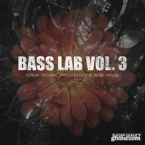 Baisc Wavez Bass Lab Vol 3 - Serum Presets For Progressive Organic & Afro House