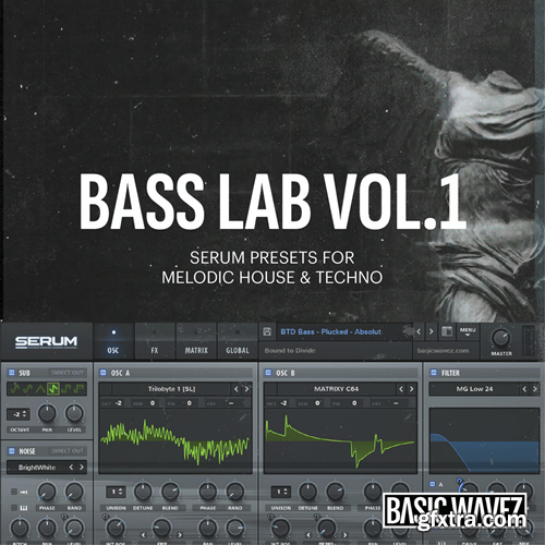 Baisc Wavez Bass Lab - Serum Presets For Melodic House And Techno