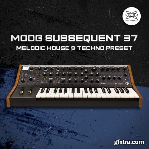 Audioreakt MOOG Subsequent 37 : Melodic House & Techno Presets