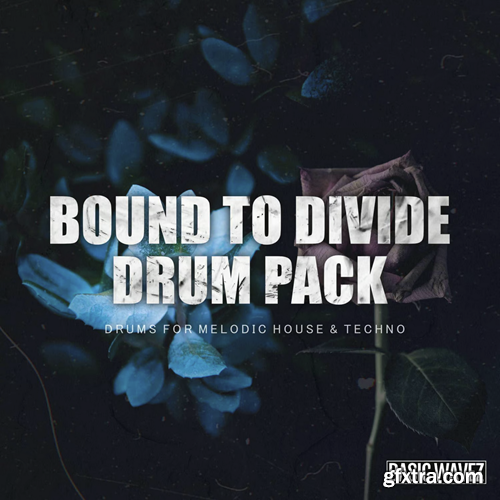 Baisc Wavez Bound to Divide Drum Pack - Drums For Melodic House & Techno