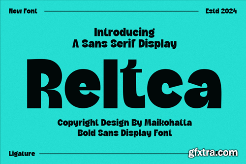 Reltca - Sans Serif Display Font 3FZGXN8