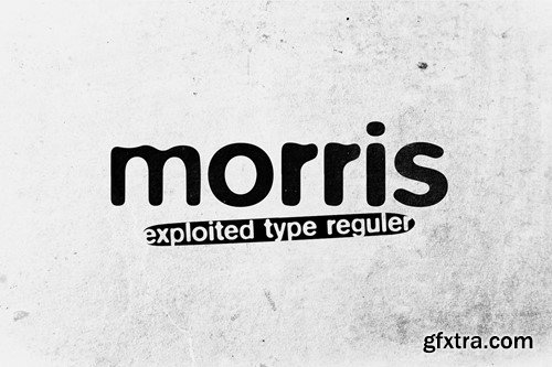 Morris Punk Typeface VJWRCN4