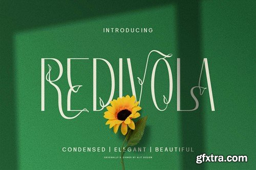 Redivola Typeface MHPKSJU