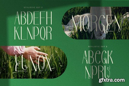 Redivola Typeface MHPKSJU