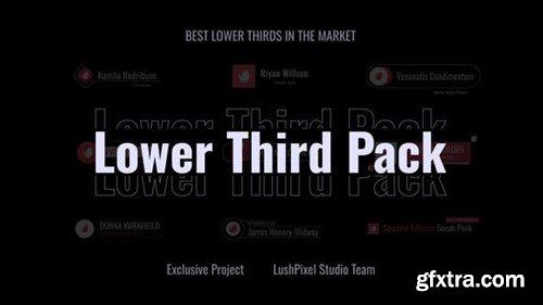 Videohive Professional Logo Lower Thirds Set 53300308