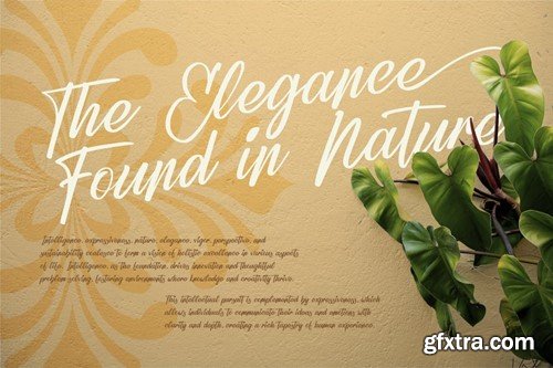 Refany Script Elegance Typeface SCNJVQK