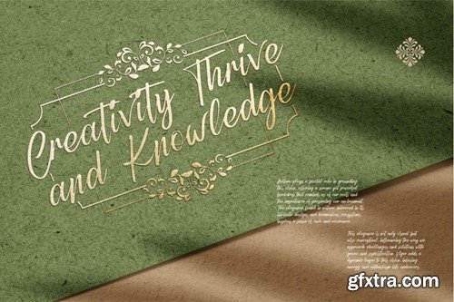 Refany Script Elegance Typeface SCNJVQK