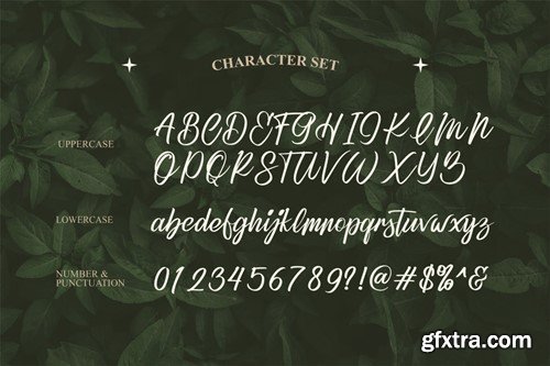 Refany Script Elegance Typeface SCNJVQK