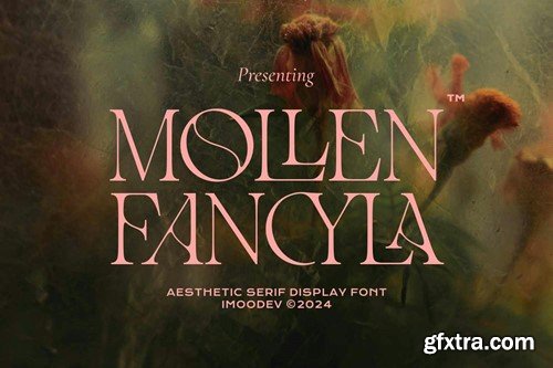 Mollen Fancyla Modern Serif 7XTZAD4