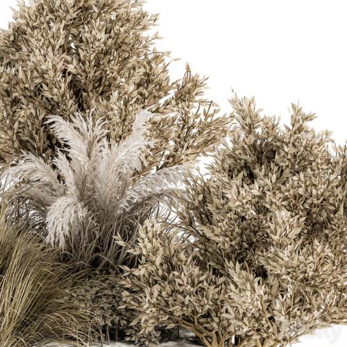 Dried Wild Plants Bush - Bush Set 36