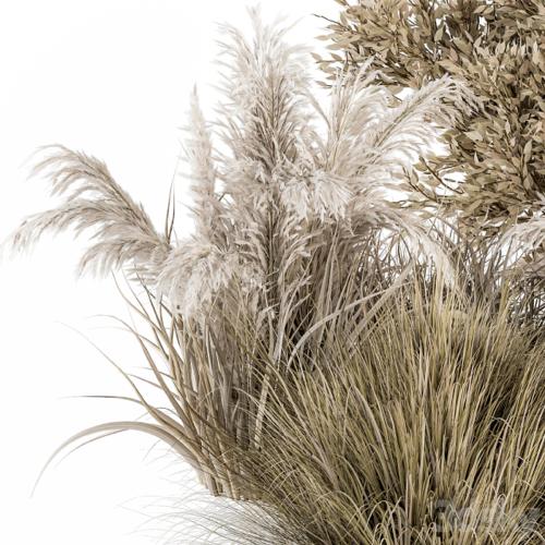 Dried Wild Plants Bush - Bush Set 36