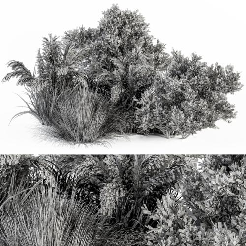 Dried Wild Plants Bush - Bush Set 36