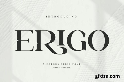 Erigo - Modern Ligature Font 7LYZLX7