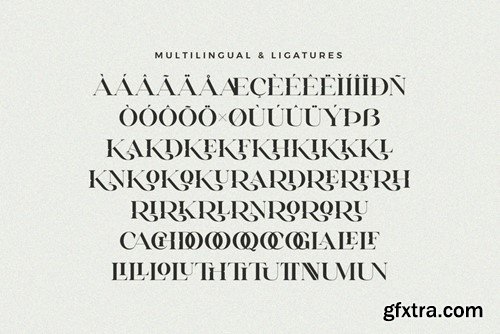 Erigo - Modern Ligature Font 7LYZLX7