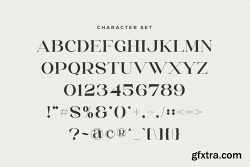 Erigo - Modern Ligature Font 7LYZLX7