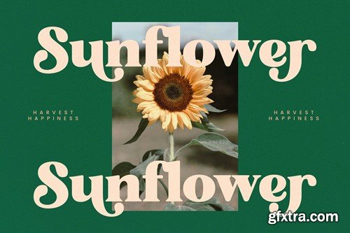 Bright Sunlist Modern Vintage Serif 5EUCKX6