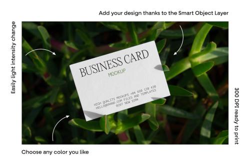 Stationery Business Card Mockups vol.7