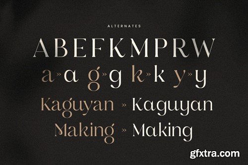 Waking Luxury Font ZGZPKQS