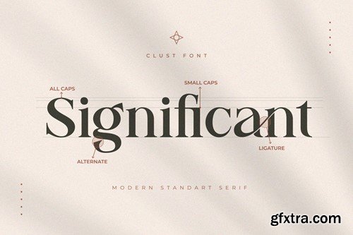 Clust - Modern Serif Font CTNSG2C