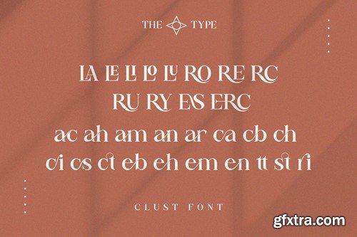 Clust - Modern Serif Font CTNSG2C