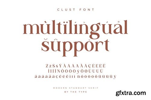 Clust - Modern Serif Font CTNSG2C