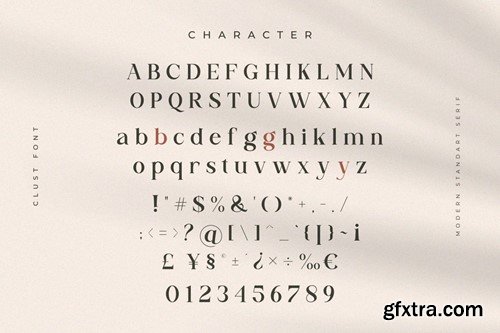 Clust - Modern Serif Font CTNSG2C